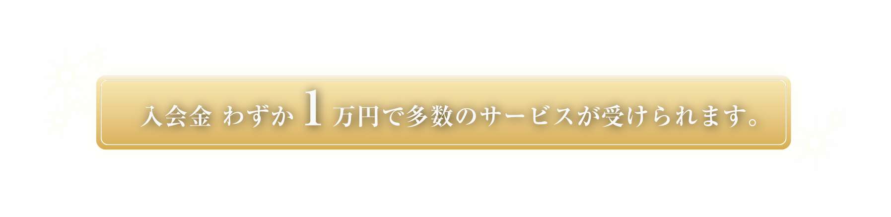 入会金わずか1万円で多数のサービスが受けられます